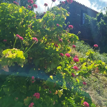 Bela Vista Alqueve - Traditional Stone House And Private Pool