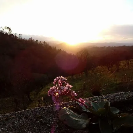 Bela Vista Alqueve - Traditional Stone House And Private Pool * Arganil