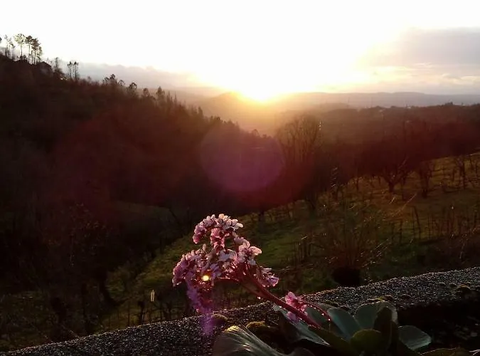 Bela Vista Alqueve - Traditional Stone House&private Pool * Arganil